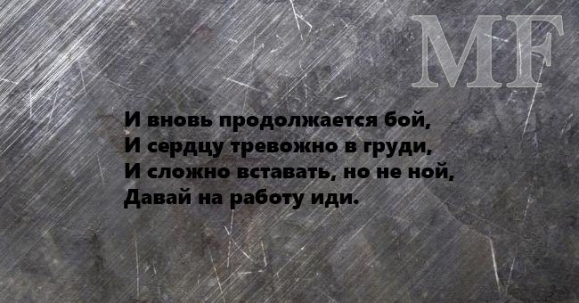 Забавный юмор в стихах (15 фото)