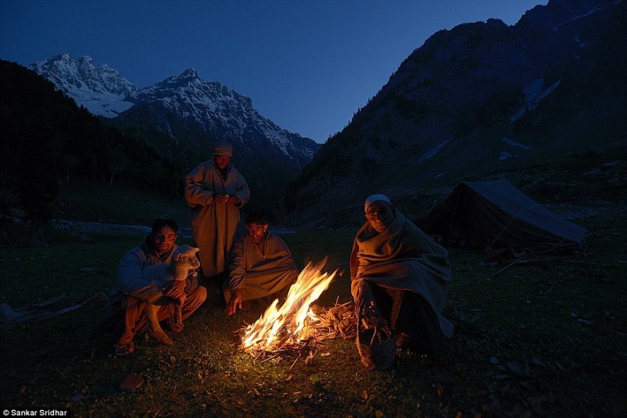 Как живёт кашмирский кочевой народ бакарвалы