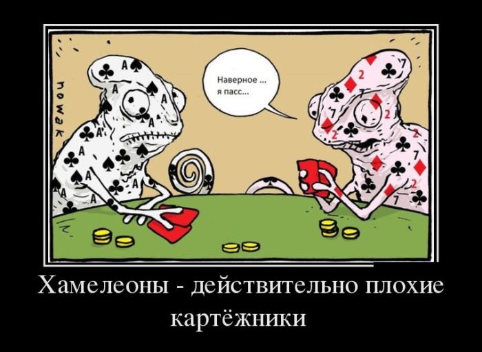 Позитивные демотиваторы (30 фото)