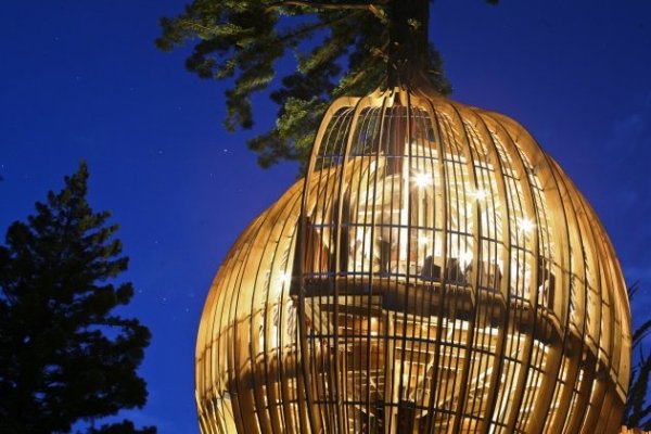 Необычный ресторан на дереве Yellow Treehouse (17 фото)