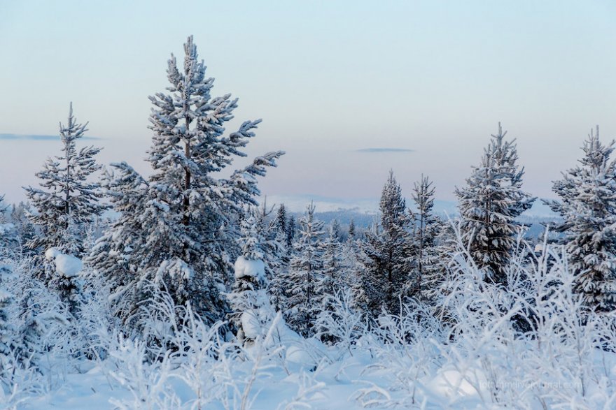Снежные ландшафты. Финляндия