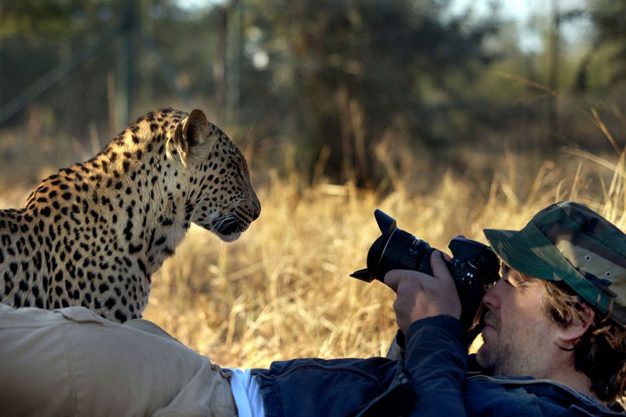 О работе фотографа в тесном контакте с животным миром
