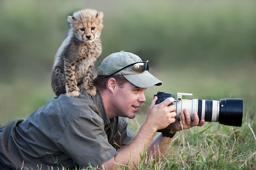О работе фотографа в тесном контакте с животным миром