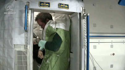 Самые интересные факты о жизни астронавтов в космосе