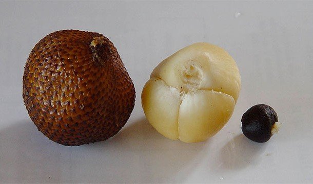 Самые необычные фрукты в мире