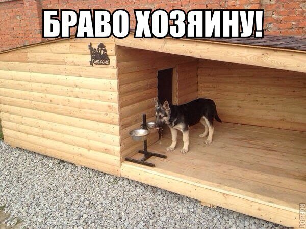 Мемы, для хорошего настроения