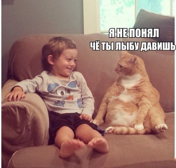 Мемы, для хорошего настроения