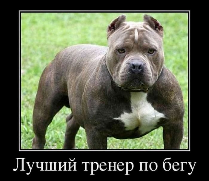 Позитивные демотиваторы (30 фото)