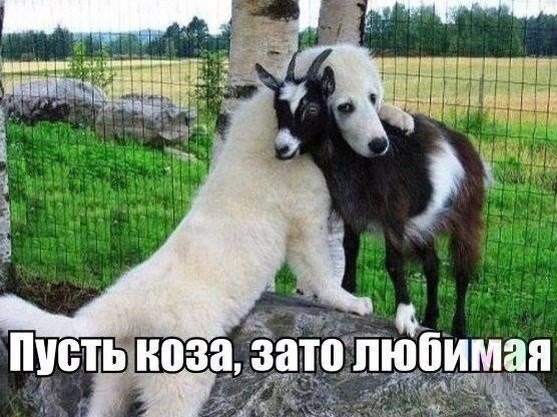 Мемы, для хорошего настроения