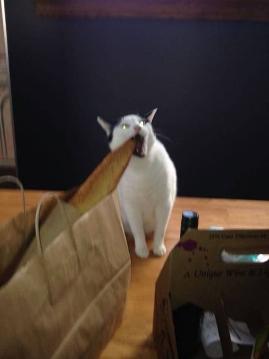 Подборка прикольных картинок (65 фото)