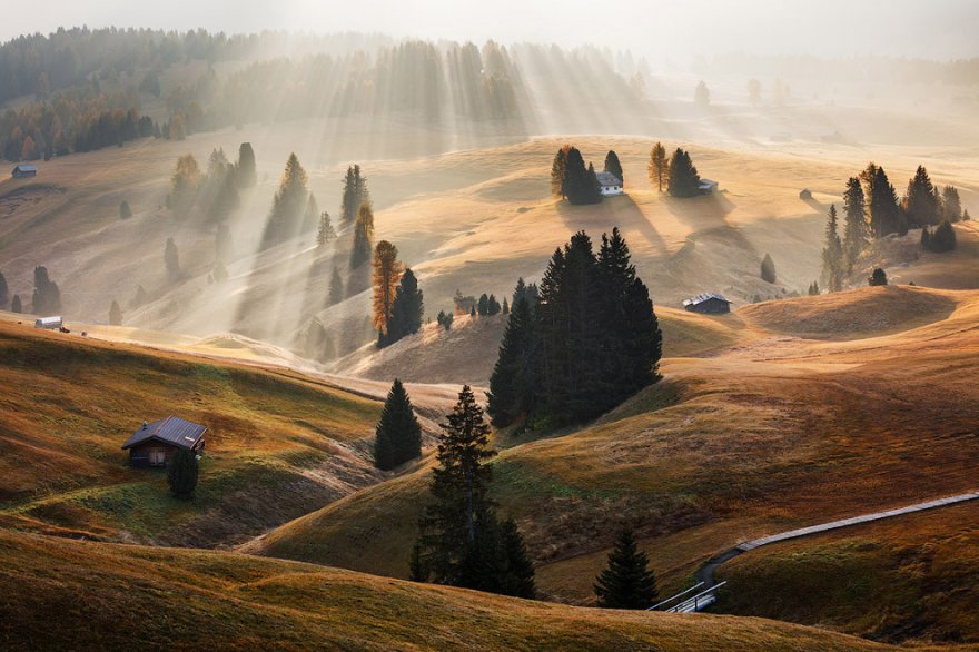 Международный конкурс Sony World Photography Awards 2016