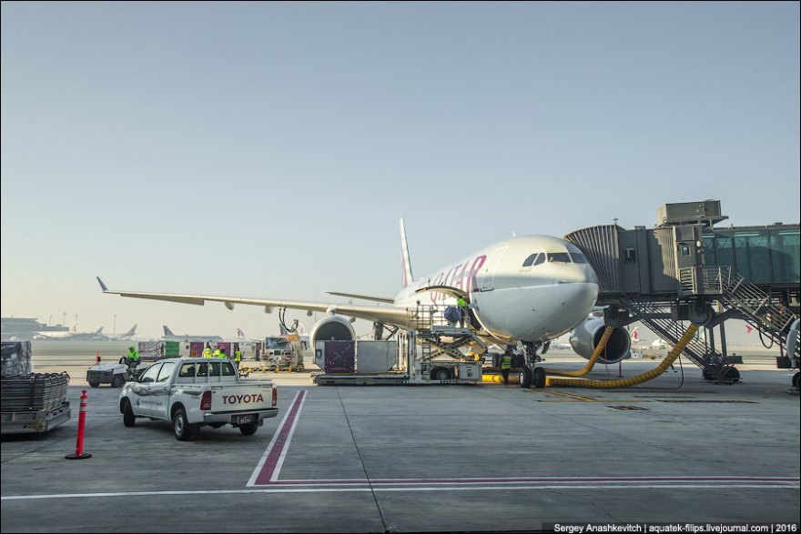 Фотообзор аэропорта Доха (DOH)