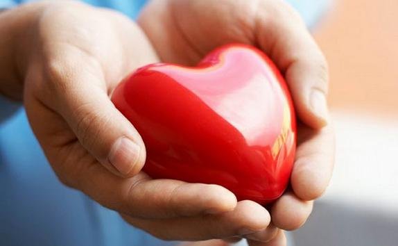 Несколько удивительных фактов о сердце