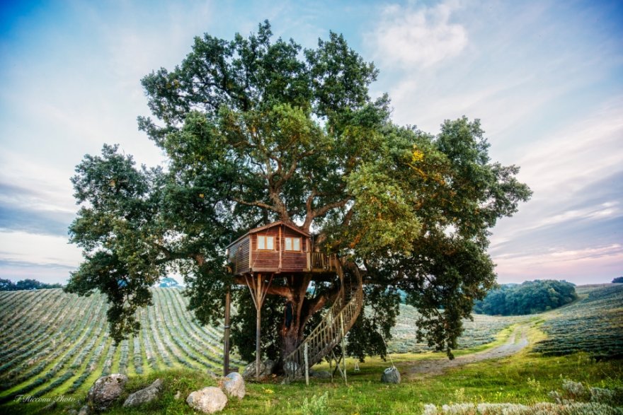 Уютный домик на дереве Suite Blue