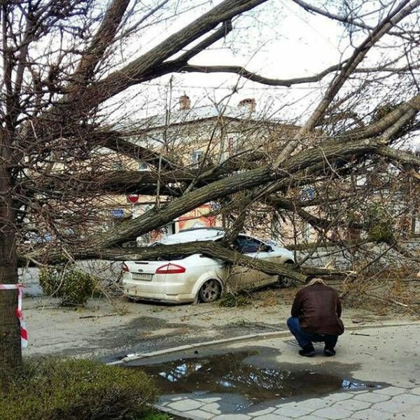 Подборка прикольных картинок (57 фото)