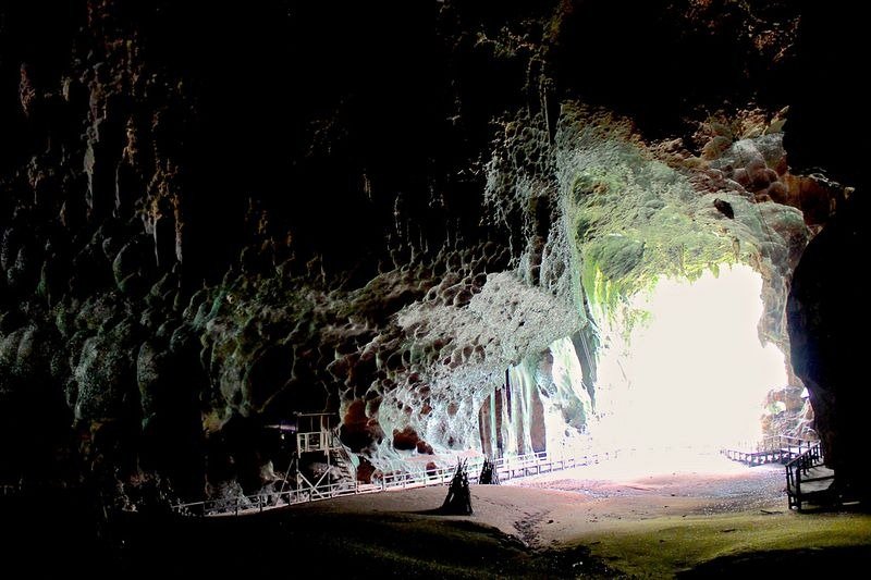 Пещера, где добывают ласточкины гнезда для супа, напитков и лекарств