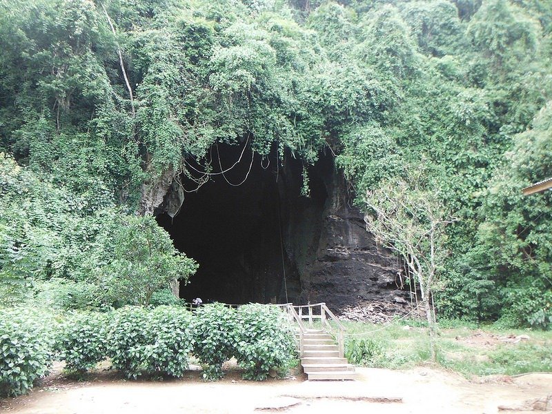 Пещера, где добывают ласточкины гнезда для супа, напитков и лекарств