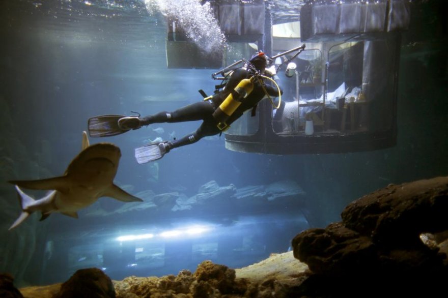 Первая подводная спальня, в которой гости могут спать рядом с акулами