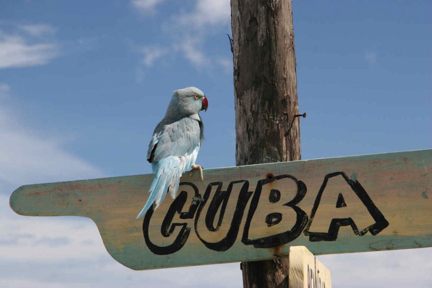 Красочная и яркая Куба