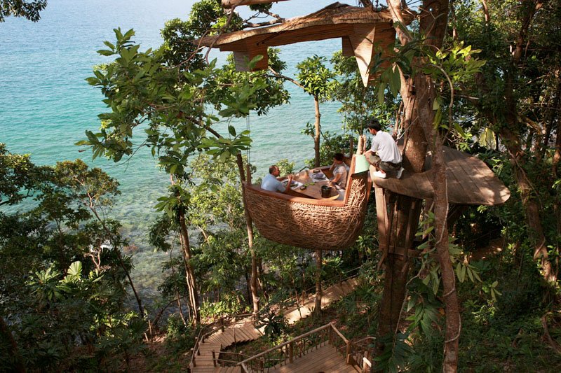 Необычный ресторан «Птичье гнездо», расположенный на дереве