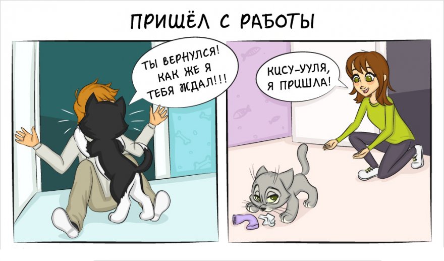 Комиксы, о том как отличается жизнь с кошкой и жизнь с собакой