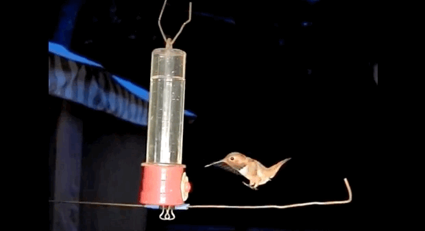 Классные гифки (20 гифок)