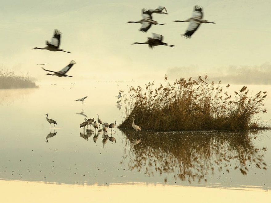 Лучшие фотографии марта от National Geographic (Часть 2)