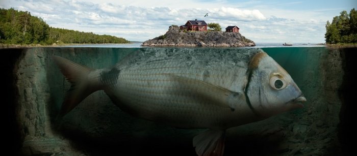 Иррациональный мир в фотоманипуляциях