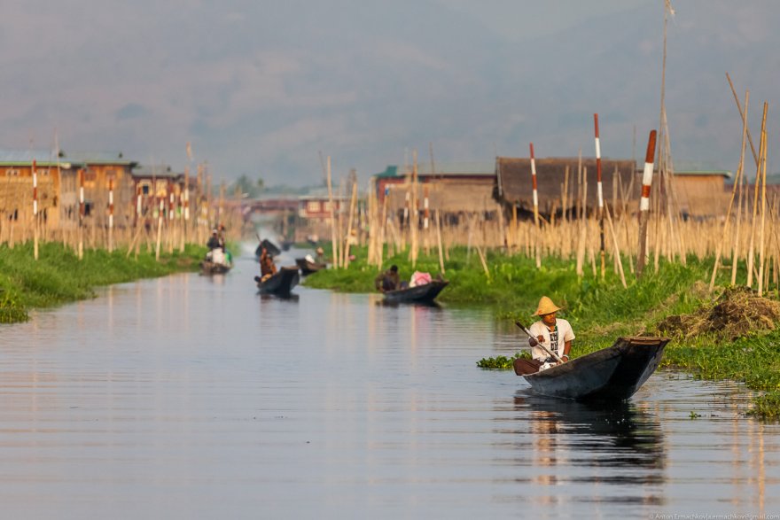 Как выращивают овощи на озерах в Мьянме