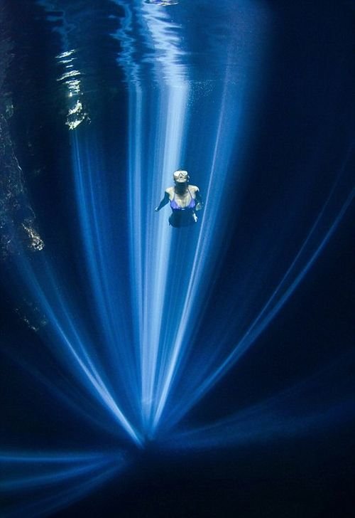 Лучшие фотографии на конкурсе подводных фото (20 фото)
