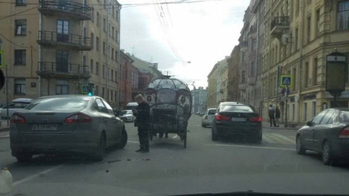 Подборка прикольных картинок (55 фото)