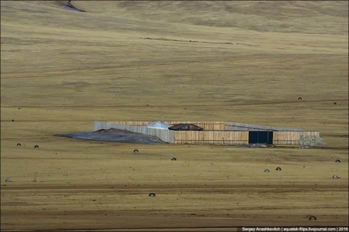 Почему монголы строят заборы вокруг своих юрт в степях (3 фото)