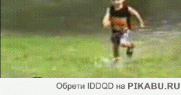 Как собаки «приходят на помощь» человеку!