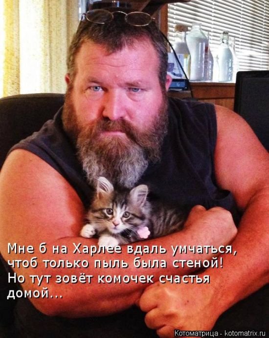 «Пушистые» шутки (50 фото)