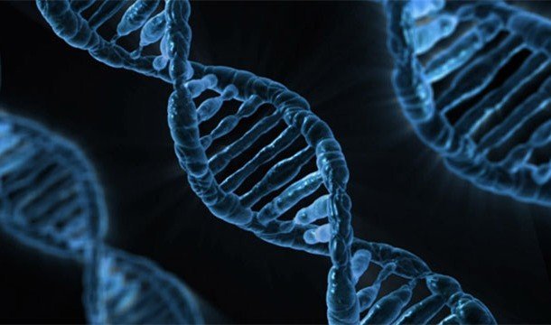 Познавательные факты про ДНК, благодаря которым вы узнаете о себе немного больше