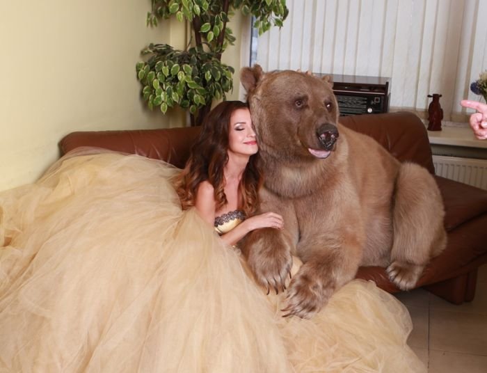 Фотосессия девушки с медведем (20 фото)