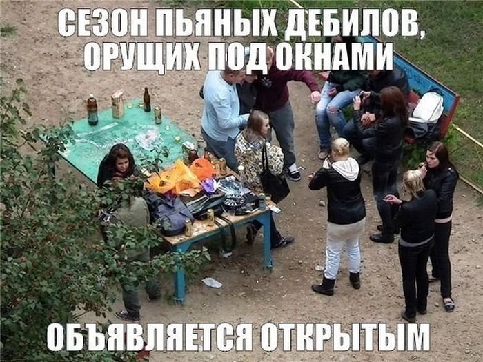 Подборка прикольных картинок (50 фото)