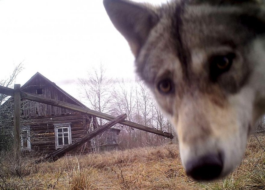 Подборка интересных фотографий за неделю