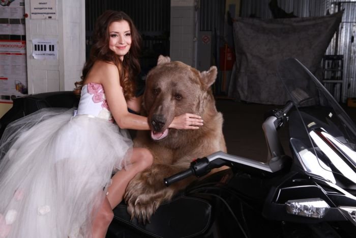Фотосессия девушки с медведем (20 фото)