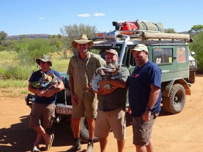Австралиец Крис Барнс - спаситель детенышей кенгуру (20 фото)