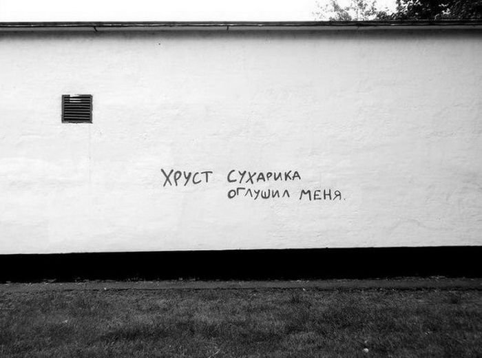 Русская философия на наших стенах (39 фото)