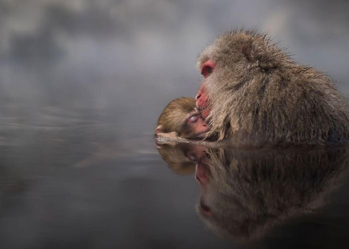 Подборка лучших работ фотоконкурса National Geographic Traveler Photo Contest (34 фото)