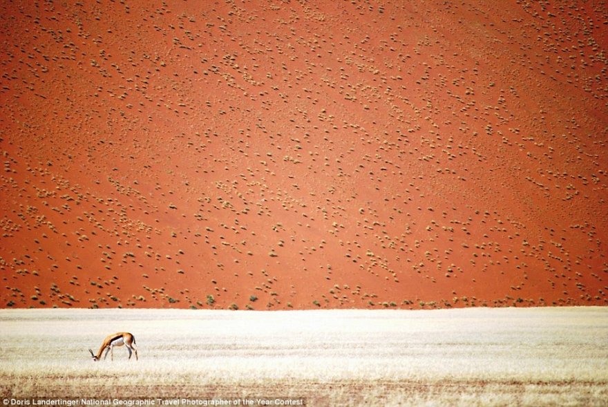 В самом разгаре приём работ на фотоконкурс National Geographic Travel Photographer of the Year Contest 2016