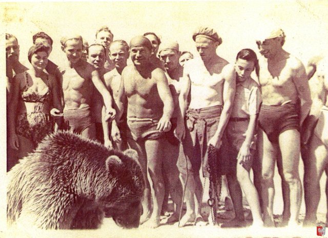 История боевого медведя