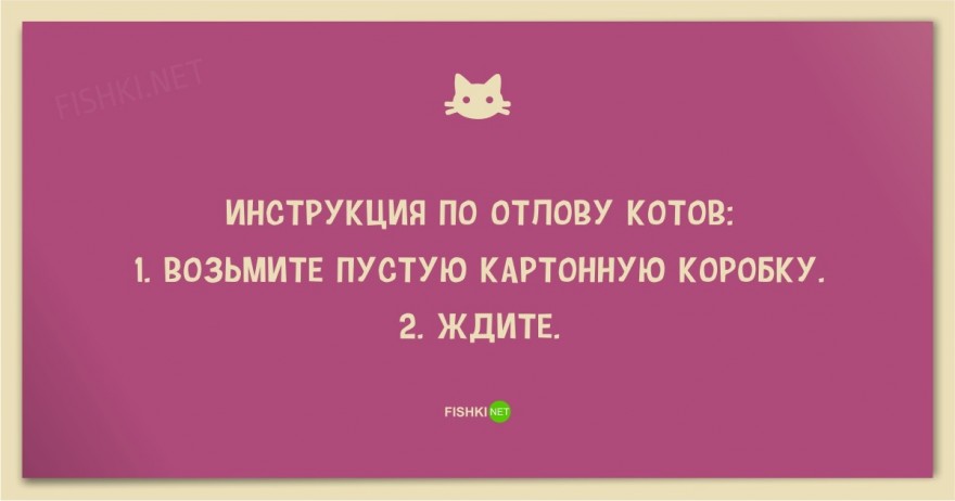 25 смешных анекдотов про кошек и котов