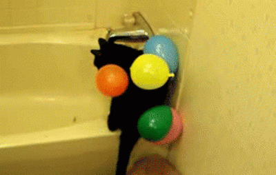 Прикольные гифки (25 гифок)