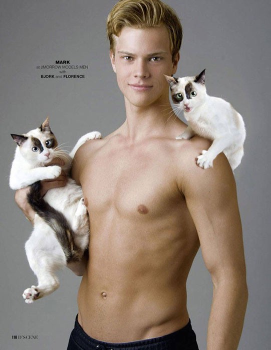 Pussy Riot: красавчики-модели и их очаровательные кошки