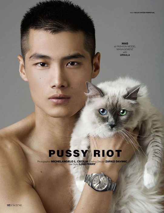 Pussy Riot: красавчики-модели и их очаровательные кошки