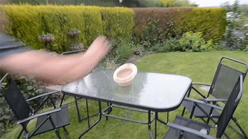 Прикольные гифки (25 гифок)