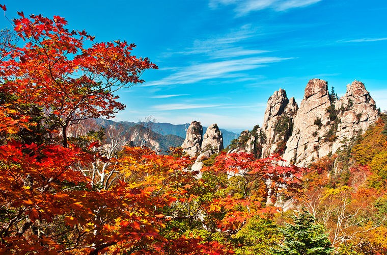 9 мест, которые необходимо посетить в поездке по Корее